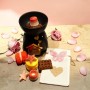 Σετ Δωρου Αρωματιστής Χώρου & Wax Melts 60gr